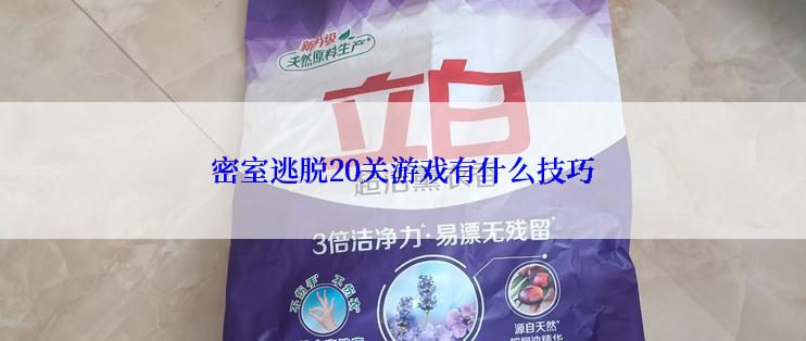 密室逃脱20关游戏有什么技巧