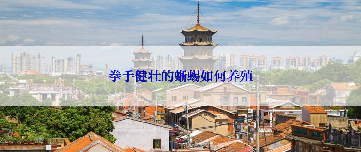 拳手健壮的蜥蜴如何养殖