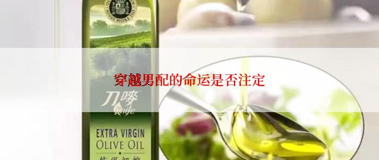 穿越男配的命运是否注定
