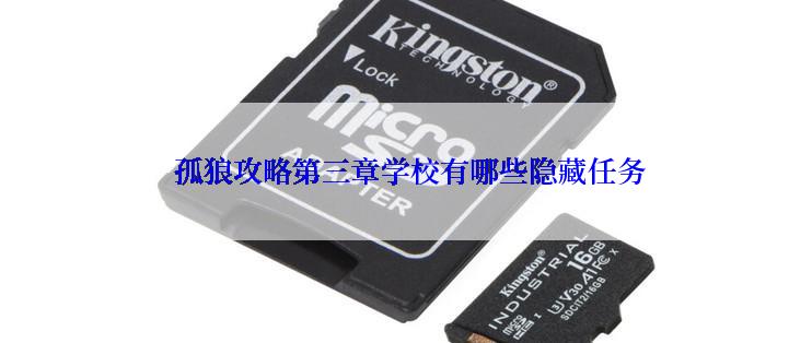  孤狼攻略第三章学校有哪些隐藏任务