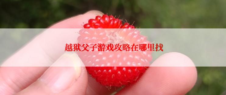 越狱父子游戏攻略在哪里找