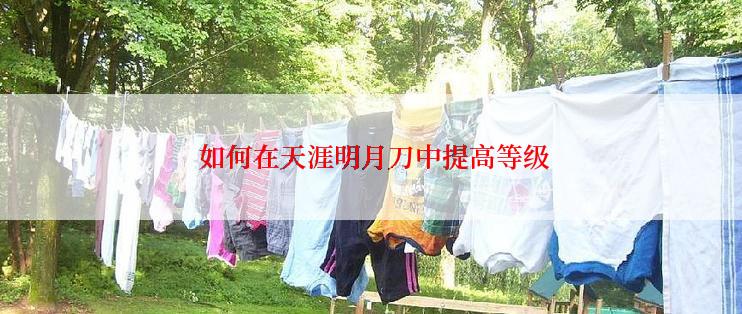  如何在天涯明月刀中提高等级