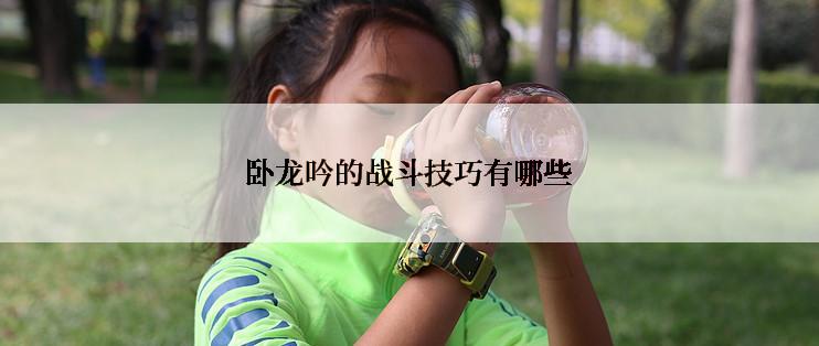 卧龙吟的战斗技巧有哪些