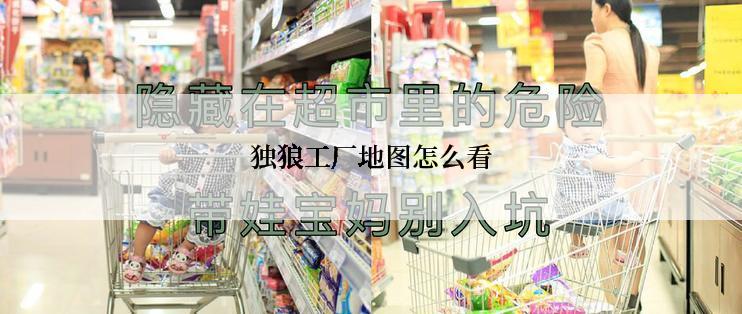 独狼工厂地图怎么看