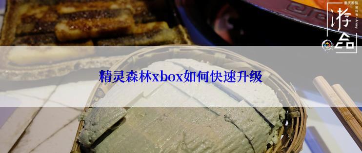 精灵森林xbox如何快速升级