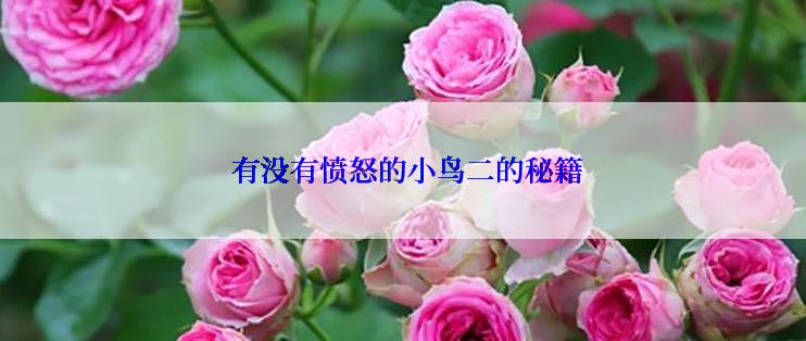  有没有愤怒的小鸟二的秘籍