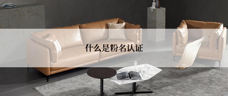 什么是粉名认证