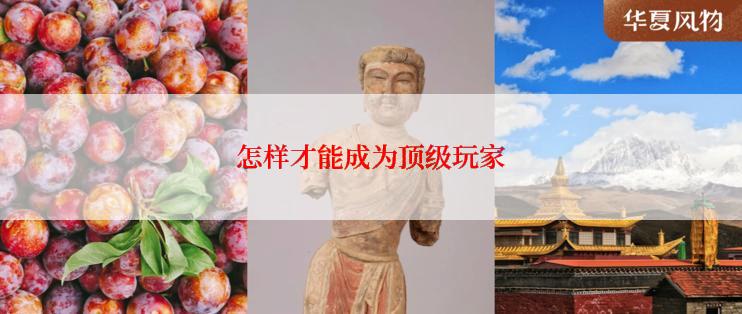 怎样才能成为顶级玩家