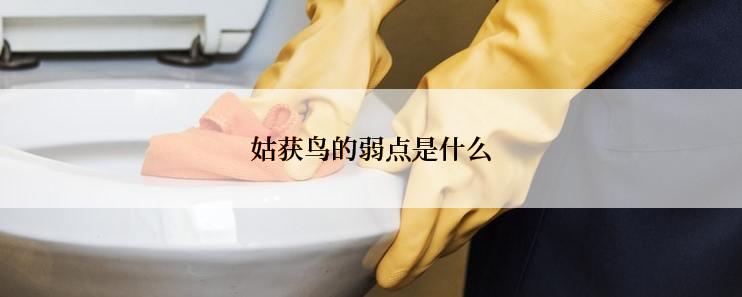 姑获鸟的弱点是什么