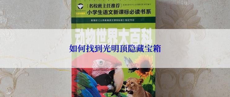如何找到光明顶隐藏宝箱