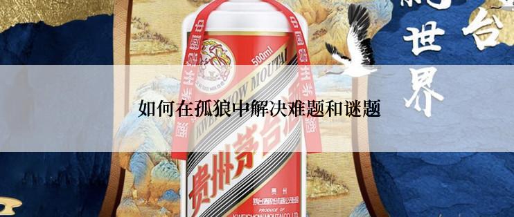  如何在孤狼中解决难题和谜题