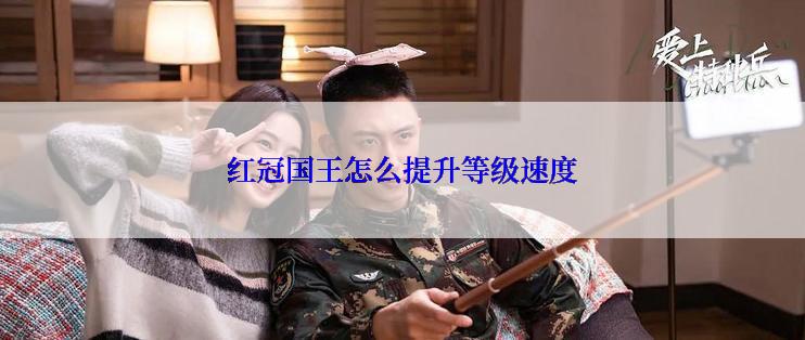 红冠国王怎么提升等级速度