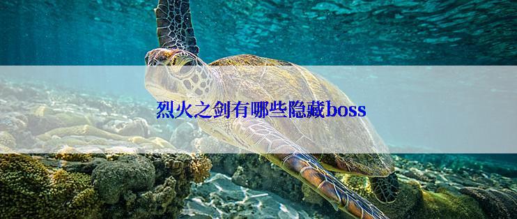  烈火之剑有哪些隐藏boss