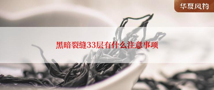 黑暗裂缝33层有什么注意事项