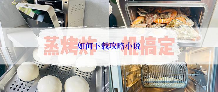 如何下载攻略小说
