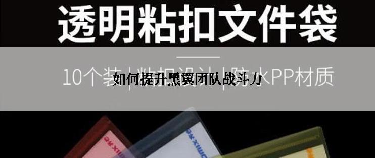 如何提升黑翼团队战斗力