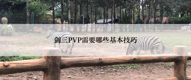 剑三PVP需要哪些基本技巧