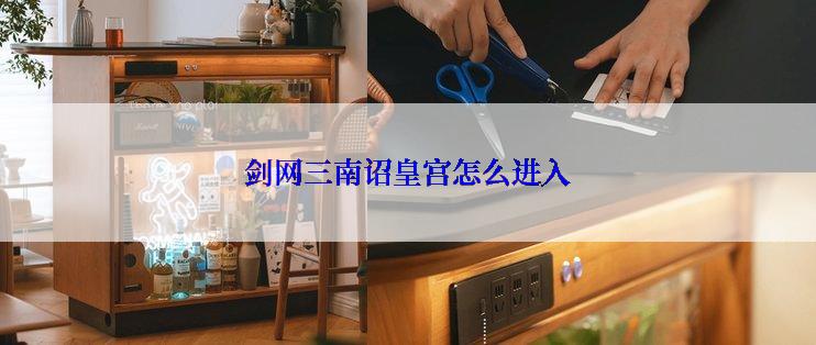 剑网三南诏皇宫怎么进入
