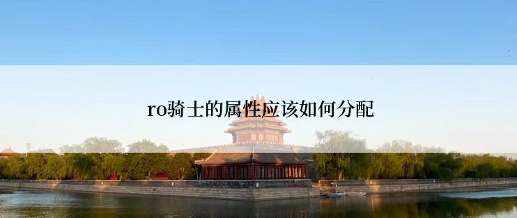  ro骑士的属性应该如何分配