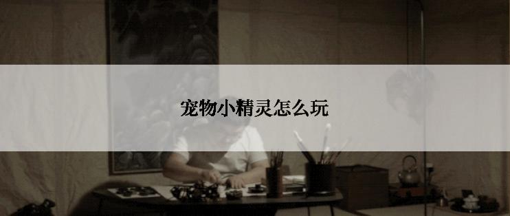 宠物小精灵怎么玩