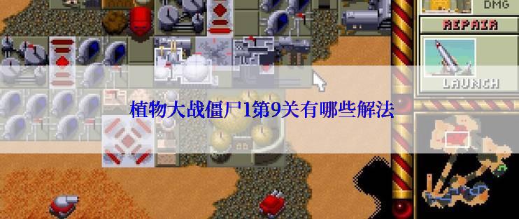  植物大战僵尸1第9关有哪些解法