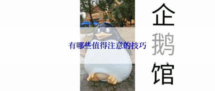 有哪些值得注意的技巧