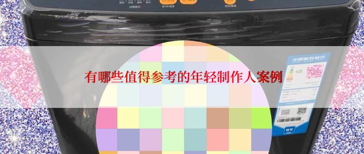  有哪些值得参考的年轻制作人案例