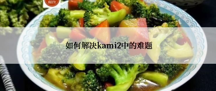  如何解决kami2中的难题