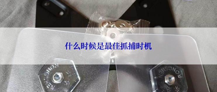 什么时候是最佳抓捕时机