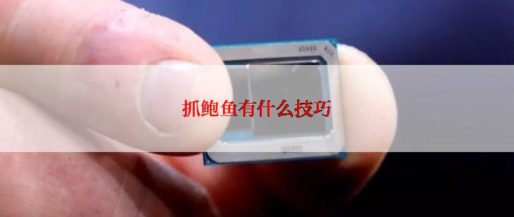 抓鲍鱼有什么技巧
