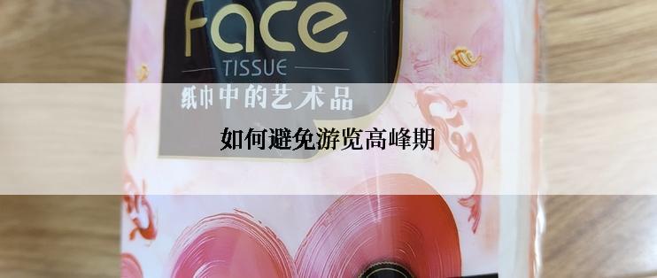 如何避免游览高峰期