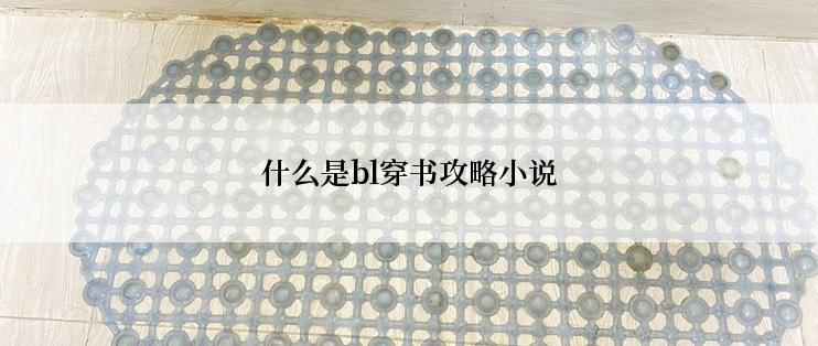 什么是bl穿书攻略小说