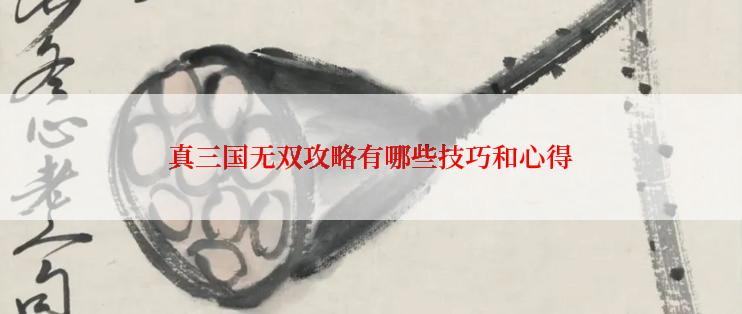 真三国无双攻略有哪些技巧和心得