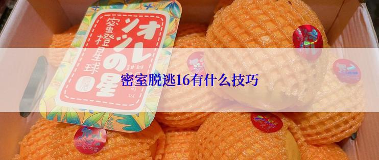 密室脱逃16有什么技巧