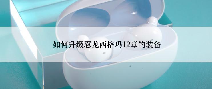  如何升级忍龙西格玛12章的装备