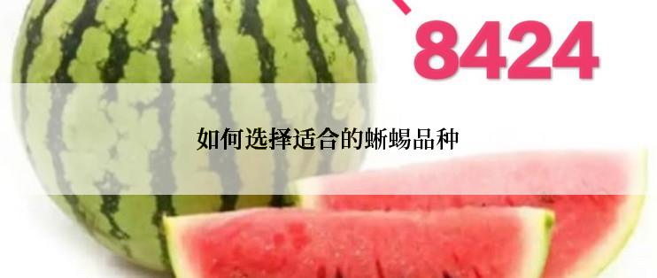 如何选择适合的蜥蜴品种