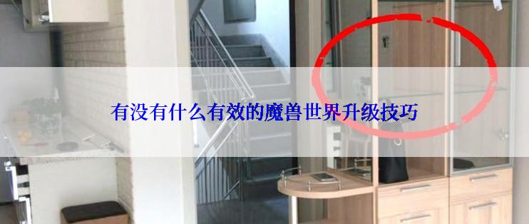 有没有什么有效的魔兽世界升级技巧