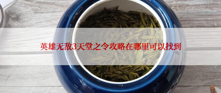 英雄无敌3天堂之令攻略在哪里可以找到