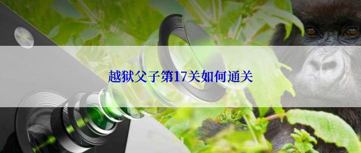 越狱父子第17关如何通关