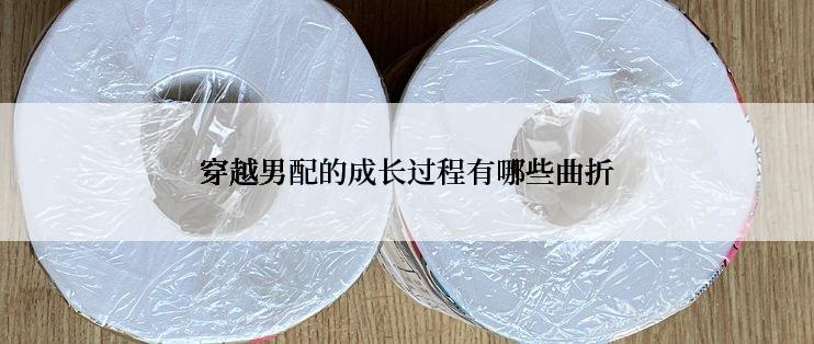 穿越男配的成长过程有哪些曲折