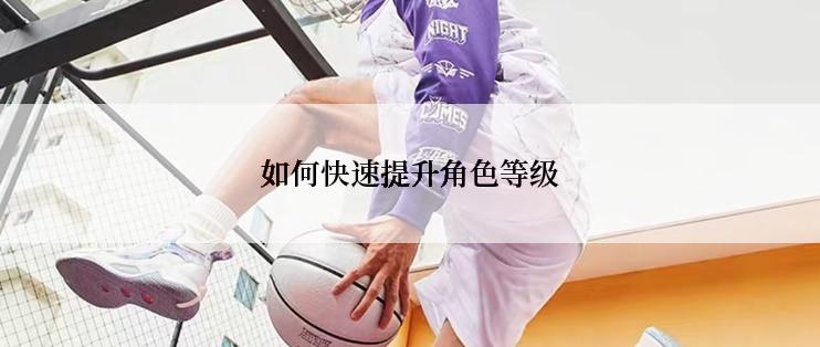 如何快速提升角色等级