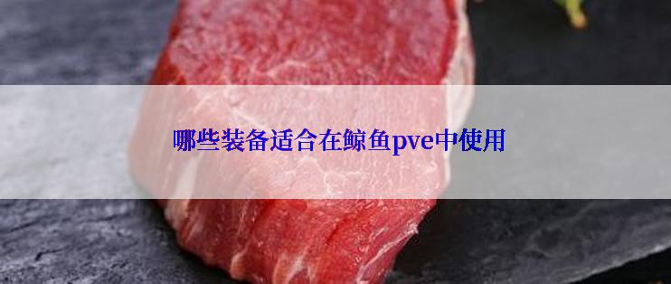  哪些装备适合在鲸鱼pve中使用