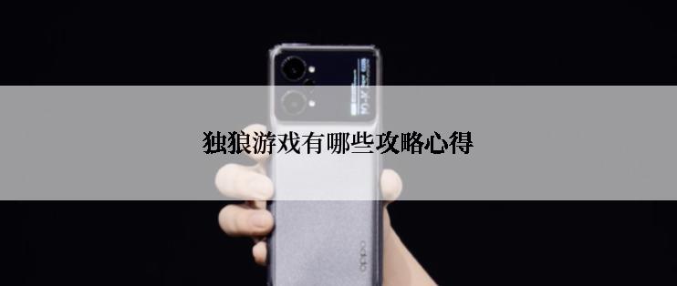 独狼游戏有哪些攻略心得