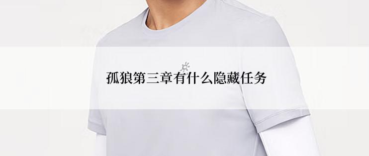  孤狼第三章有什么隐藏任务