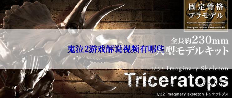 鬼泣2游戏解说视频有哪些