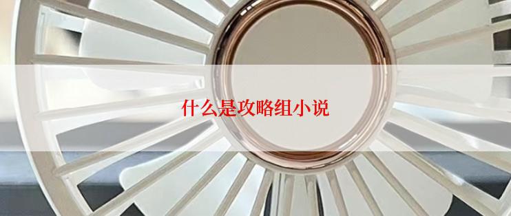 什么是攻略组小说