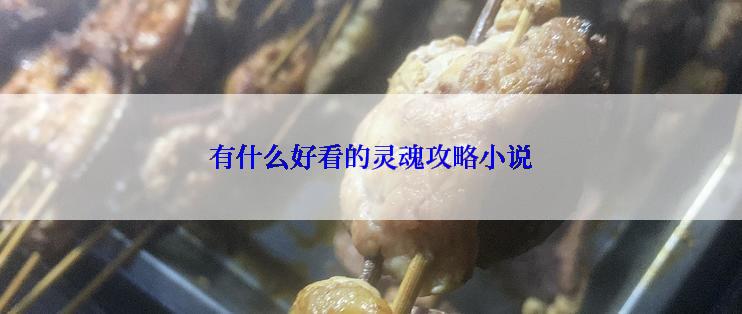 有什么好看的灵魂攻略小说