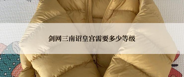 剑网三南诏皇宫需要多少等级