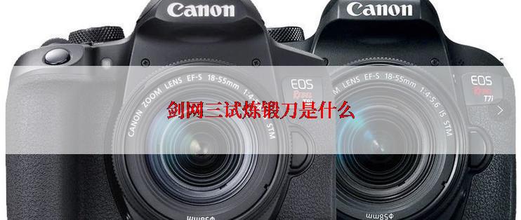 剑网三试炼锻刀是什么