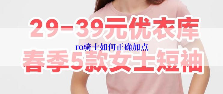 ro骑士如何正确加点